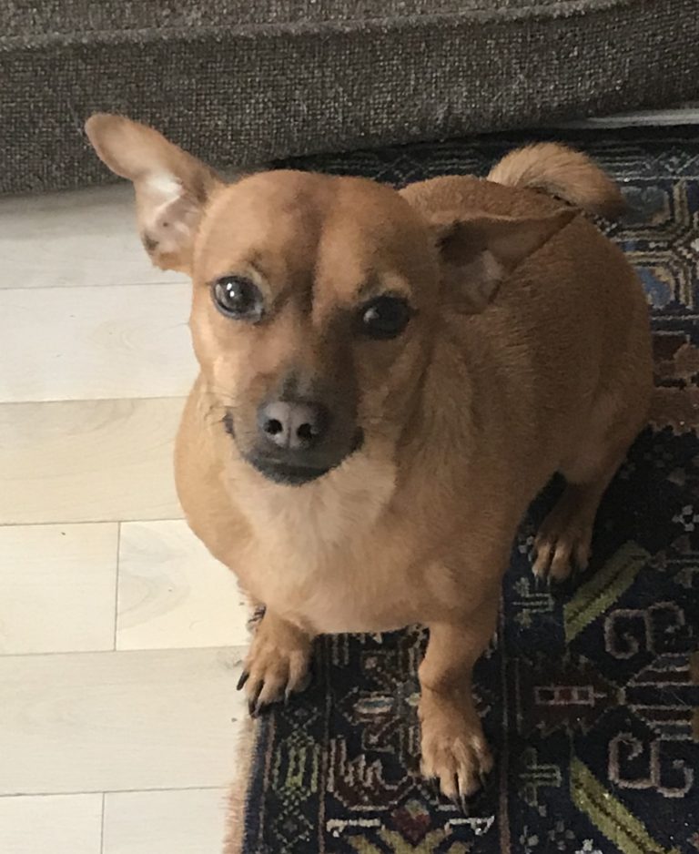 8C31BCE7 8969 4206 9DD5 EFC8225BE13F 768x938