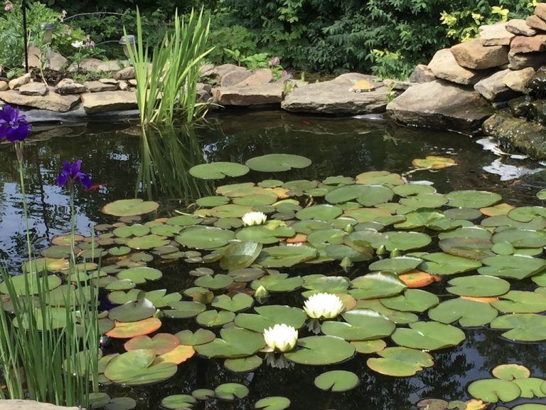 UNADJUSTEDNONRAW thumb 4e66 768x576