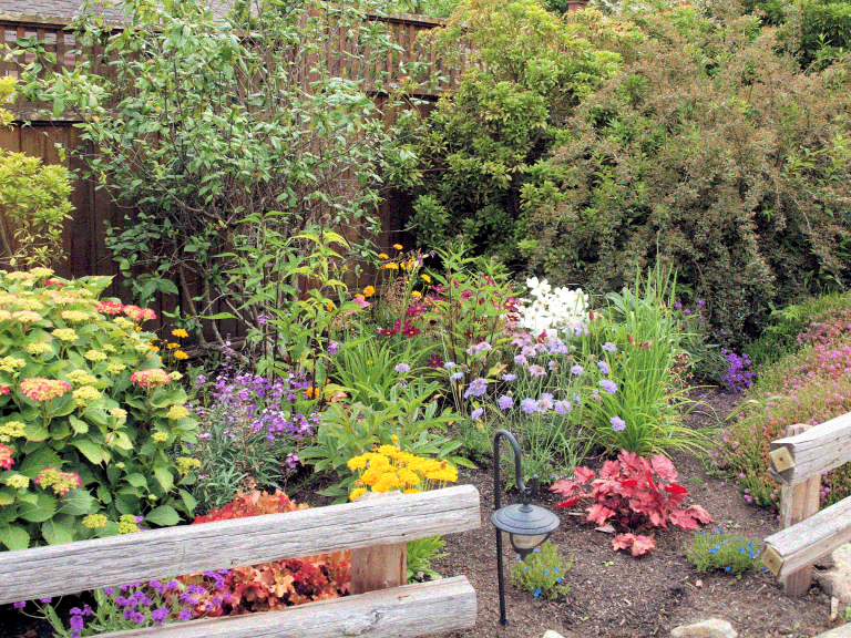 Garden 768x576