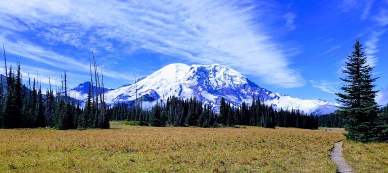 Mt. Rainier 1 768x343