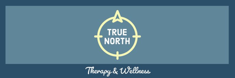 True North OFFICIAL Banner 3 1 768x256